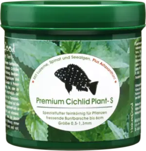 Bild Premium Cichlid S