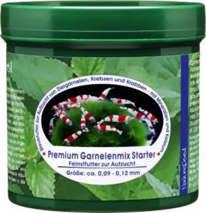 Bild Garnelenmix Starter