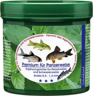 Bild von Premium für Panzerwelse