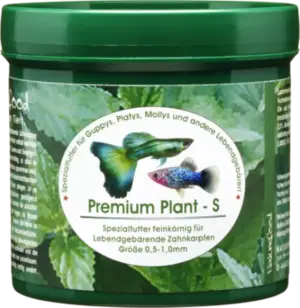 Bild von Premium Plant S