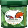 Supreme_Plant_L Bild von Supreme Plant L
