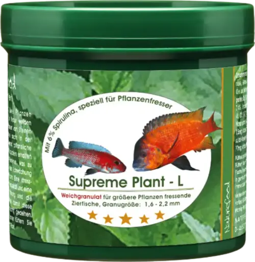 Supreme_Plant_L Bild von Supreme Plant L